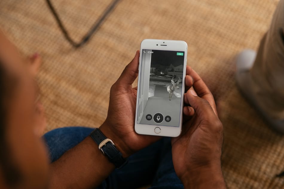 Savoy IL security system